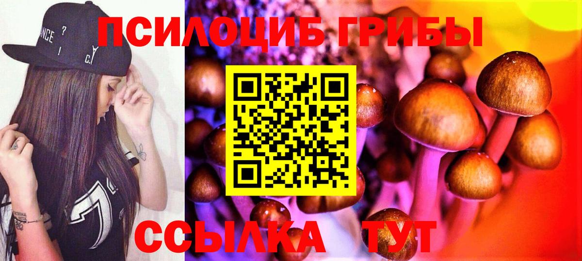 Галлюциногенные грибы MAGIC MUSHROOMS  Вход с VPN  Псилоцибиновые грибы Psilocybe  Буйнакск 