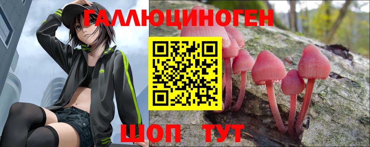 Псилоцибиновые грибы мухоморы Буйнакск